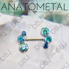 anatometal anium threadless side set