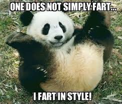 88 funniest panda memes funny
