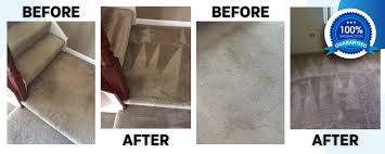 carpet and upholstery cleaning in