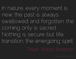 Emerson s Nature Essay Ralph waldo emerson nature essay analysis website  EMERSON S ESSAYS Ralph Waldo