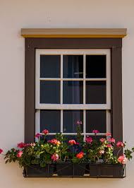 Own Windowsill Flower Garden
