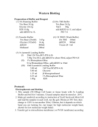 western blotting