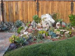 San Jose Succulent Garden - Cactus Jungle