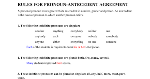 Pronoun Antecedent Agreement What Is Pronoun Antecedent Agreement