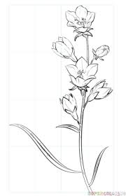 30 flower drawing tutorials diy