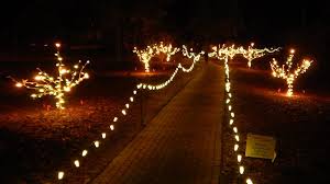 christmas lights in hopelands gardens