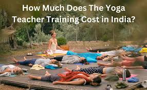 yoga teacher training cost in india