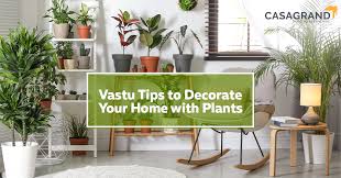 Vastu Tips To Decorate Your Home With