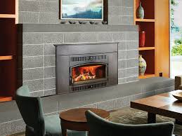 Cast Iron Wood Fireplace Insert Flame