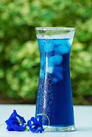 blue erfly pea flower tea