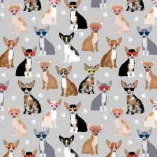 chihuahua fabric wallpaper and home