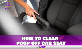 To Clean Poop Off Car Seat