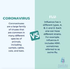 In the united states, a number of ridts are commercially available. Covid 19 Vs Flu How Do They Compare