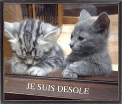 Je suis désolé Je suis désolé