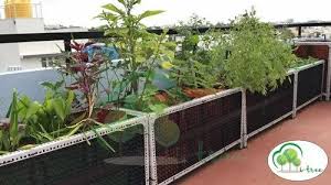 Roof Gardening Services Bangalore