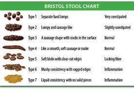 Bristol Stool Chart What Healthy Poop Looks Like Health