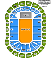 Lana Del Rey Tickets Manchester Arena Manchester 26 02