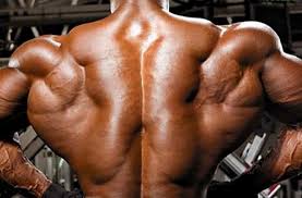The back supports the function and movement of all of your limbs and has a wide range of jobs that it needs to perform on a routine basis. Top 5 Back Workouts For A Thicker And Wider Back