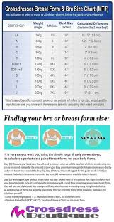 Breast Forms Useful Stuff In 2019 Bra Size Charts