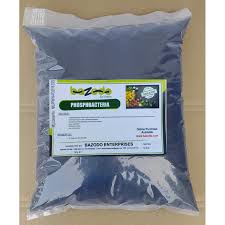 organic bio fertilizer