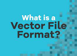 what exactly is a vector file