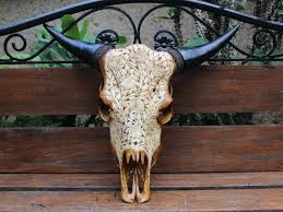 Real Cow Skull Wall Decor Carving