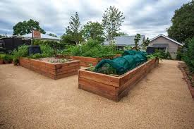 Treated Wood In Vegetable Gardens