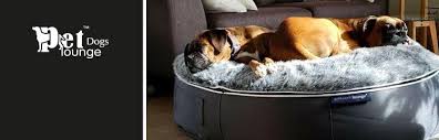 Pet Bean Bag Bed Dog Beds Premium
