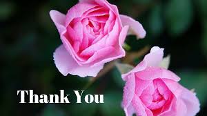 Thank you for being my friend. Download Thank You Hd Images For Ppt Whatsapp Facebook Download