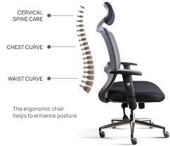 Ergonomic Seating Ergonomics