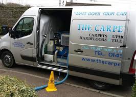 carpet cleaning services the carpet