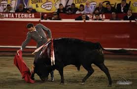 El torero inicio de faena en silla de José Arcila | mundotoro.com