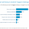 The Effect of Stress on University Students