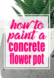 learn how to paint concrete planters