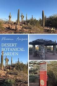 things to know desert botanical garden