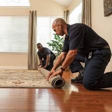 area oriental rug cleaning chicago il