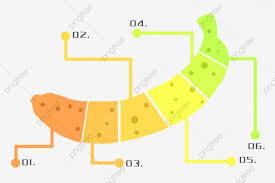 Creative Banana Chart Illustration Creative Chart