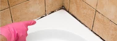 How To Prevent Mould With Bathroom