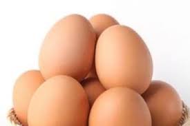 Are eggs a dairy food: BusinessHAB.com