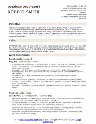 database developer resume sles