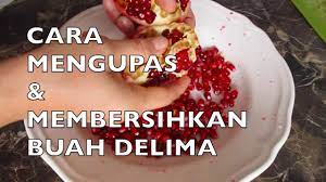 Cukup makan buah delima merah satu kali sehari untuk. Buah Delima Cara Mengupas Membersihkan Buah Delima Deseed A Superfood Pomegranate Ii Clk Youtube