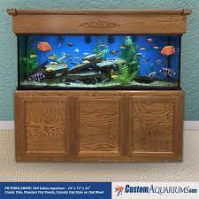 180 gallon aquarium custom gl fish