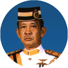 Sultan ibrahim ismail of johor coronation (2015). Iskandar Of Johor Whois