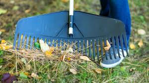 7 Best Rakes Our Guide To Raking Your