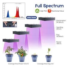 Top 6 Best Led Light For 4x4 Grow Tent In 2019 Reviews And