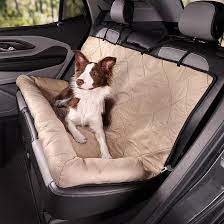 Is Your Dog Safe In The Car