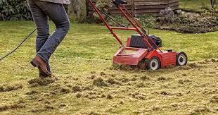 how to dethatch a lawn the simple