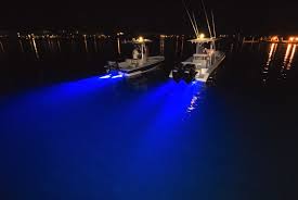 Fishing At Night Pontoon Deck Boat Magazine
