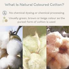 naturally coloured cotton bjarni baby