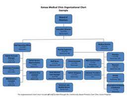 office organizational chart templates